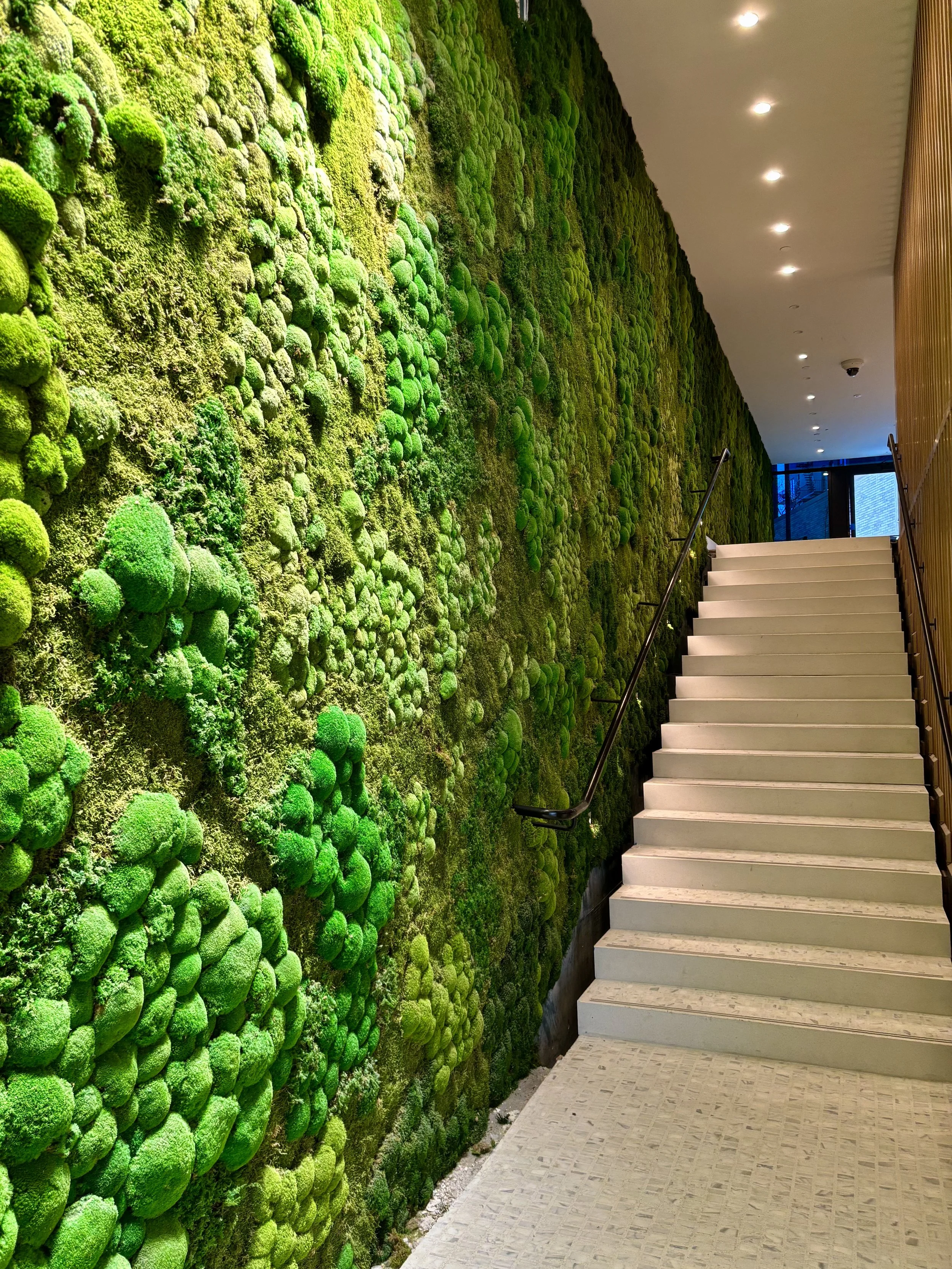 Urbanstrong: A One-Stop Shop for Moss Wall Design, Build, And